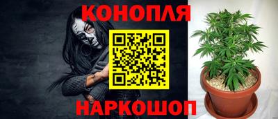 ECSTASY Кузнецк
