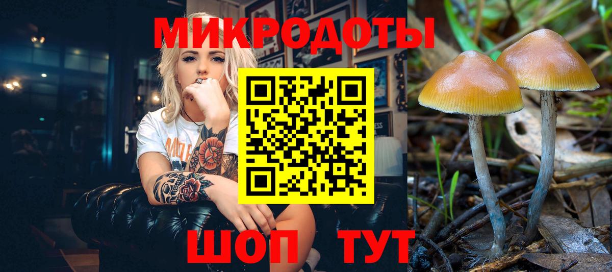Бахчисарай  Галлюциногенные грибы Cubensis  Вход с VPN 