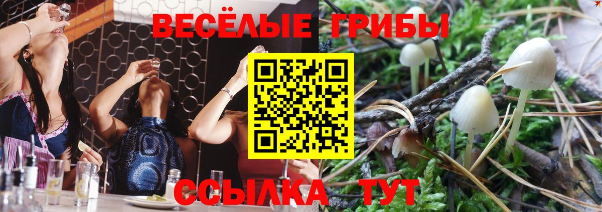 Псилоцибиновые грибы мицелий Бахчисарай